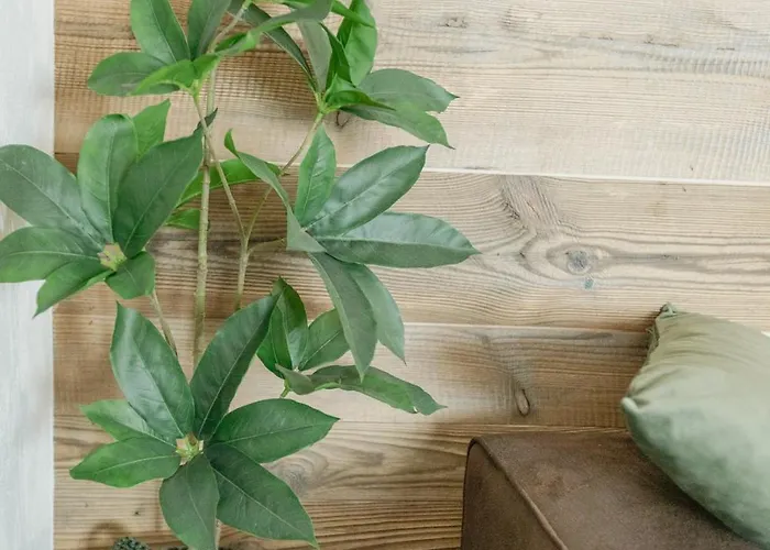 Magnifique Proche Du Centre * Crans-Montana